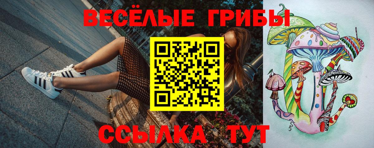 Прокопьевск  Псилоцибиновые грибы Magic Shrooms  купить наркотик  Вход с VPN 